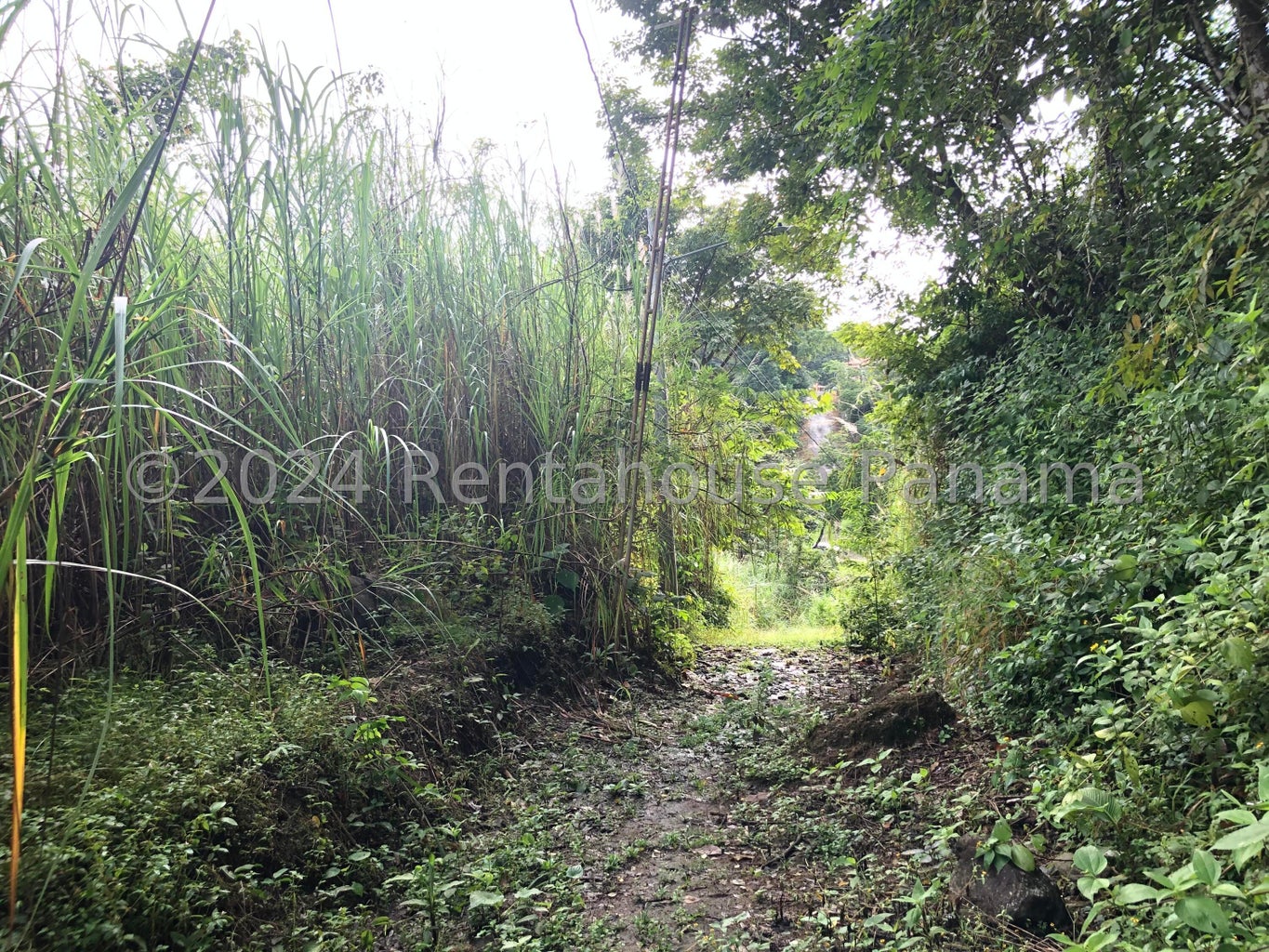 Land for Sale in Panama City Panamá Province 07104